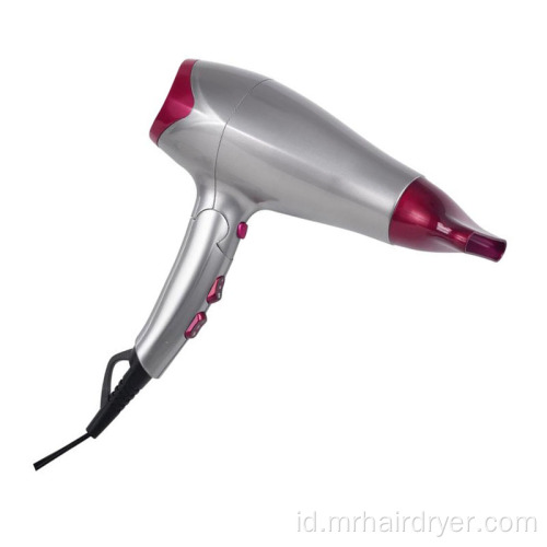 Pengering Rambut Ionic Salon Equipment